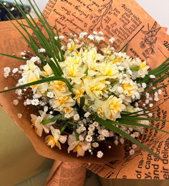 nergisçiçeği, nergis, nergisbuketi, ankaranergis