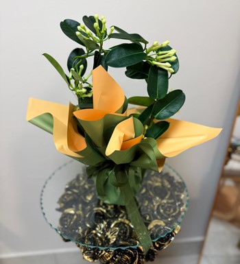 ankaraçiçekçi, ankara çiçeksiparişi, 