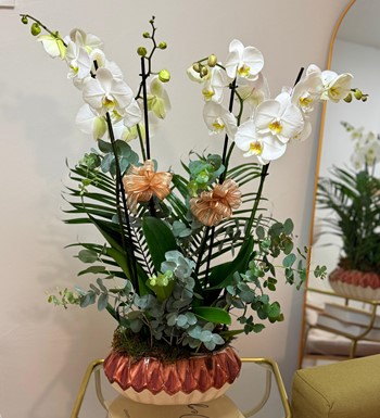 öğretmenlergünü, ankaraöğretmenlergünü, öğretmenlergünühediy