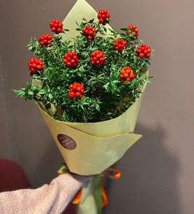 kokinabuketi, ankarakokina, kokinaçiçeği, enkalitelikokina