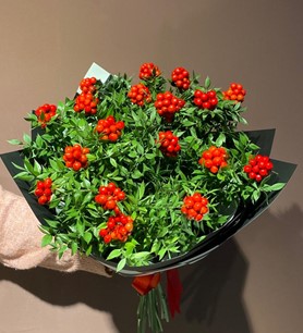 kokinabuketi, ankarakokina, kokinaçiçeği, enkalitelikokina