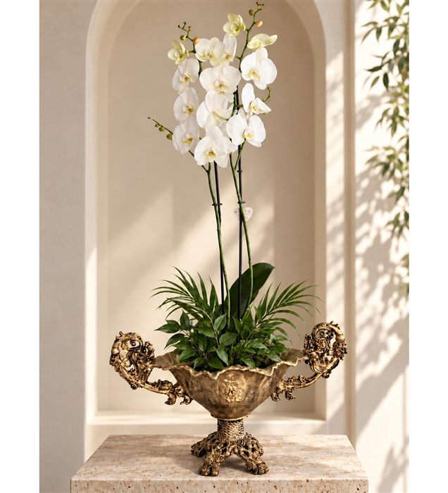 Ivory Royale – Antik Gold Saksıda 2 Dal Beyaz Orkide