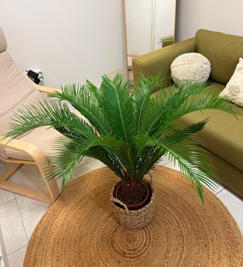 ankaraçiçekçi, ankara çiçeksiparişi, yenibatımahallesiçiçekç