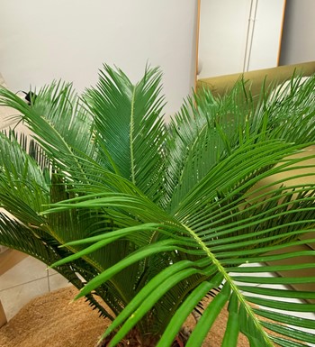 ankaraçiçekçi, ankara çiçeksiparişi, yenibatımahallesiçiçekç