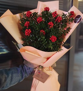 kokinabuketi, ankarakokina, kokinaçiçeği, enkalitelikokina