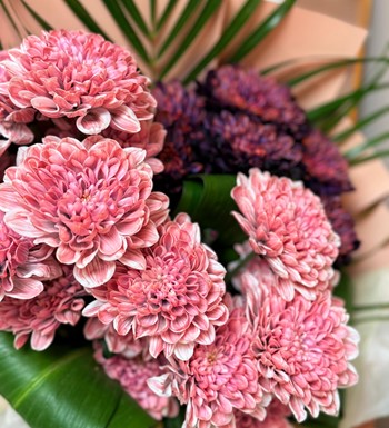 ankaraçiçeksiparişi, meritflower, çankayaçiçekçi, eryamançiç