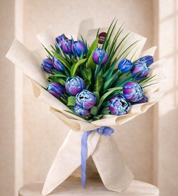 mavi lale,  galaxy mavi lale, double bouble lale