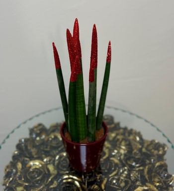 ankara çiçekçi, ankara çiçek siparişi, Çankaya çiçekçi