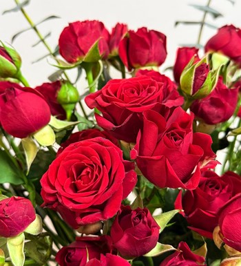 ankara çiçek siparişi, kırmızı güller vazoda