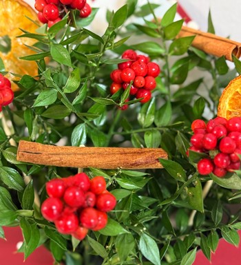 ankaraçiçekçi, ankara çiçeksiparişi, yenibatımahallesiçiçekç