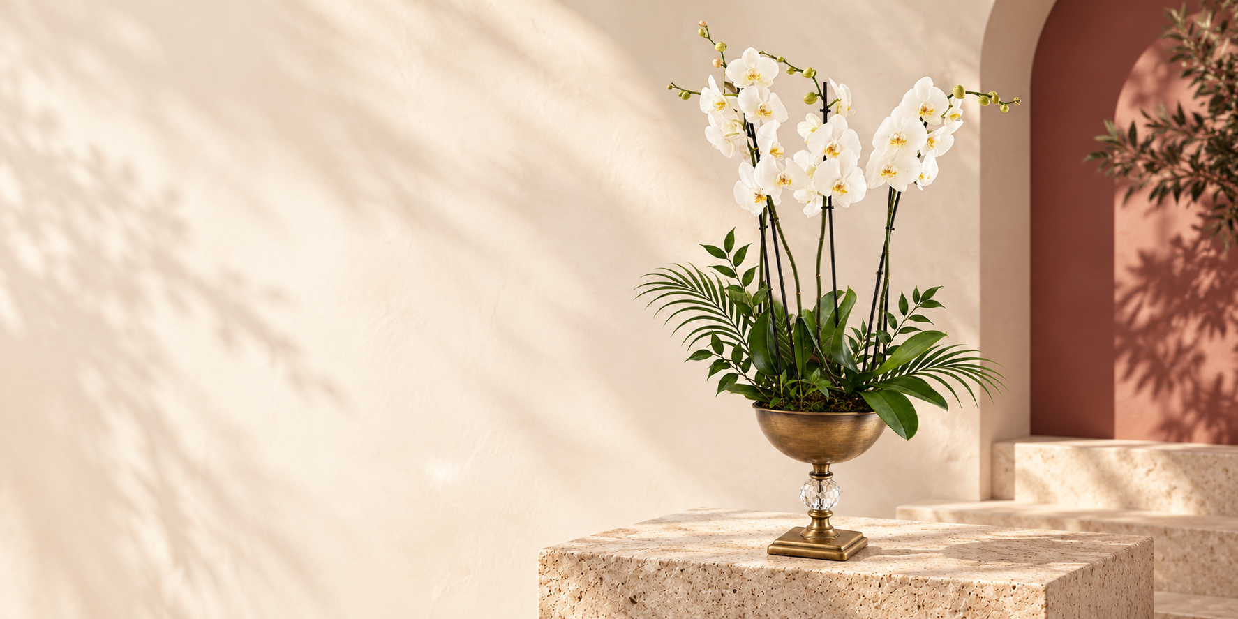 ORKİDE KOLEKSİYONU | Merit Flower