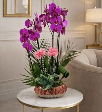 ankara aynı gün çiçek siparişi, ankara orkide siparişi