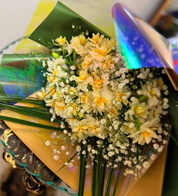 ankara nergis çiçeği, ankara aynı gün nergis 