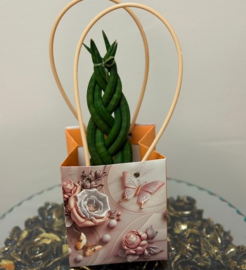 ankaraçiçekçi, ankara çiçeksiparişi, paşa kılıcı