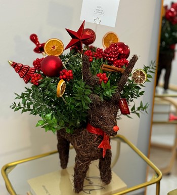 kokinabuketi, ankarakokina, kokinaçiçeği, enkalitelikokina