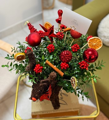 kokinabuketi, ankarakokina, kokinaçiçeği, enkalitelikokina