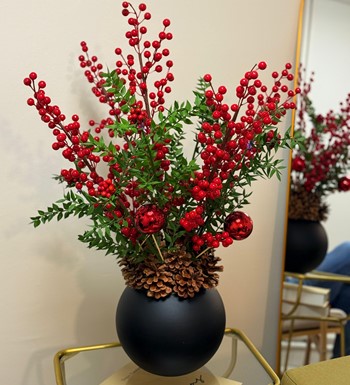 ilex, ankarailex, ankarakokina, yapaykokina