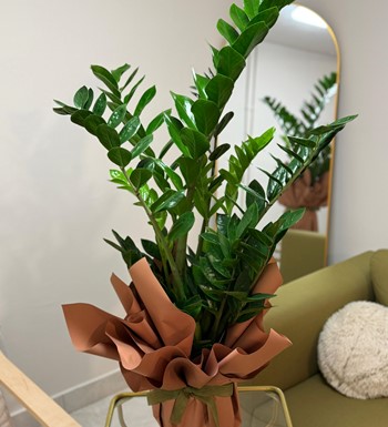 ankaraçiçekçi, ankara çiçeksiparişi, yenibatımahallesiçiçekç